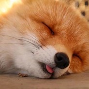 考完我就天天玩