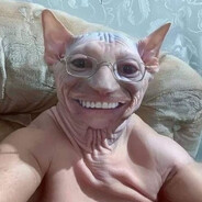 Gato Pelado con Sirrosis