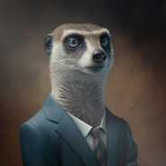 MeisterMeerkat