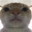 storm_69cat