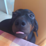 Jampyx77 avatar