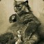Behemoth-cat