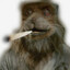 Master Splinter