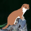 Phantom Weasel