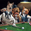 Perros culiaos jugando pool