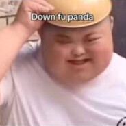 down fu panda