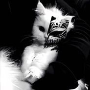 snay - steam id 76561198801564766