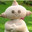 makka pakka