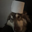 bigblackcauk