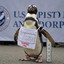 Tarriffed Penguin