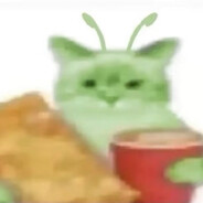 ninneko