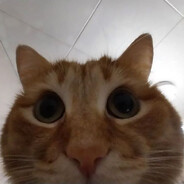 mansmarYT