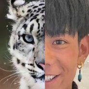 雪豹！我们上！