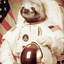 TheSlothInSpace