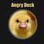 Angry Duck 2.0