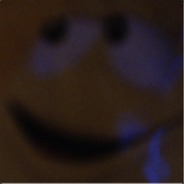 How much can SkaDOodle?