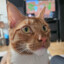 Morty