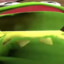 Kermit I guess