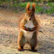 Wiewiorek - steam id 76561199097193681