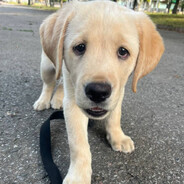 Jok - steam id 76561199401558066