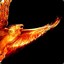 _PHOENIX_