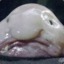 Kemali