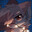 Sharky