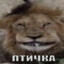 молоко