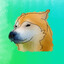 Shibe