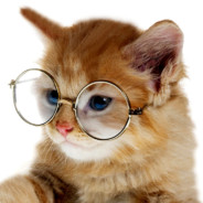 CatMan - steam id 76561198442482728
