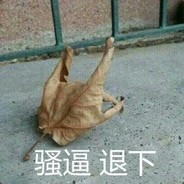 曲拟麻那个毕