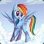 Rainbow•Dash