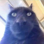 ADRENALIN avatar