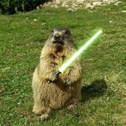 KibolSandecjiskins.army