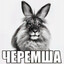 Черемша