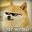 Dumb Doge