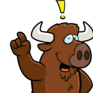 请叫我野牛先生