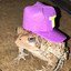 DJ_FROG