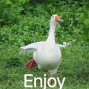 追星女孩罗小花