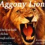 AggonyLion&#039;jr