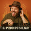 DJ pizdoi po shlyapi