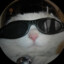 HeyTom