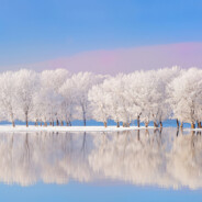 她说我是个好人