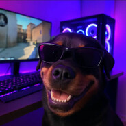 S2frixzi - steam id 76561199825391780