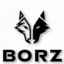BorZ