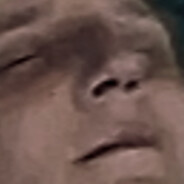 skurwibonk