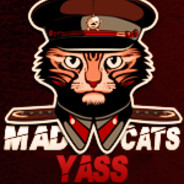 YASSMADCATS