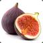 fig