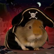 Guinea Pirate - steam id 76561197965749815