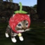 Cat1_4P